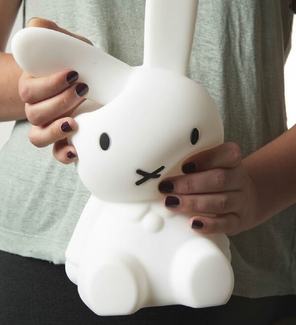 Mr. Maria - Miffy 1